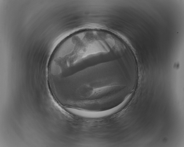 X0000114641335200911101250