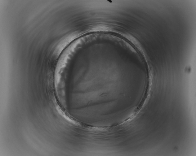 X0000114641337200911101250