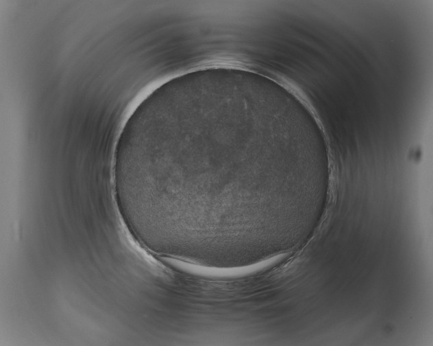 X0000114641339200911101250