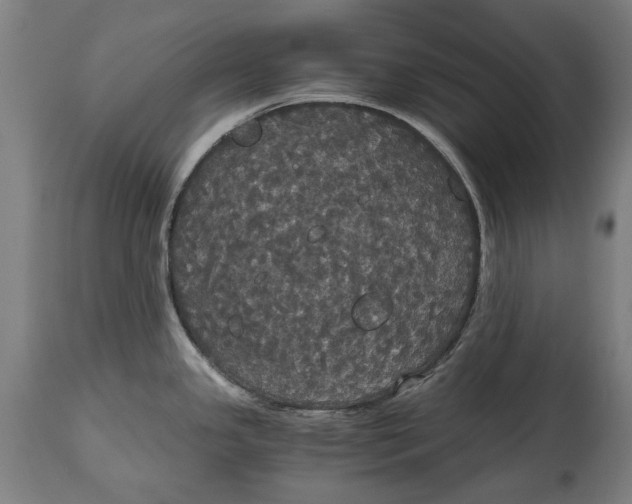 X0000114641341200911101250