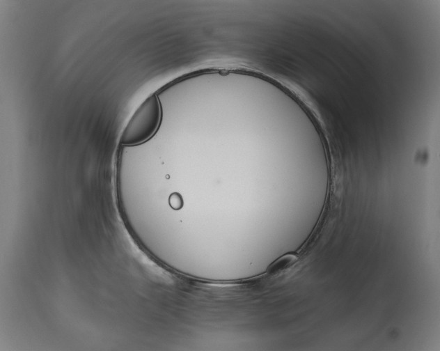 X0000114641343200911101250
