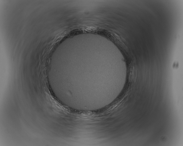 X0000114641345200911101249