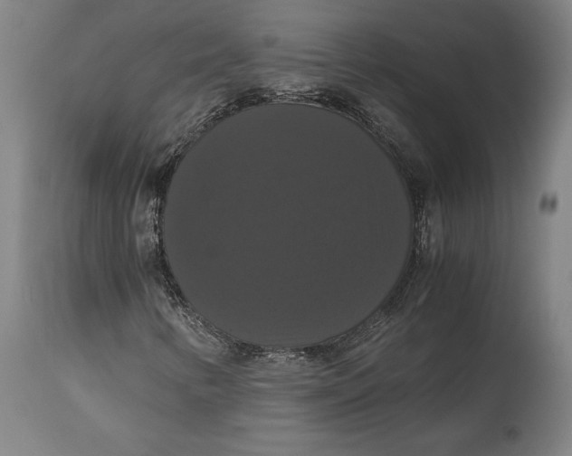 X0000114641346200911101249