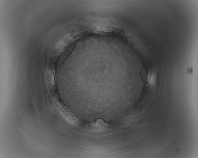 X0000114641348200911101249