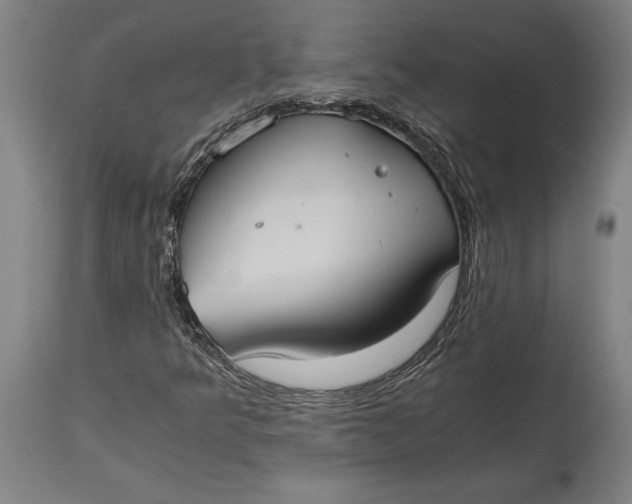 X0000114641349200911101249