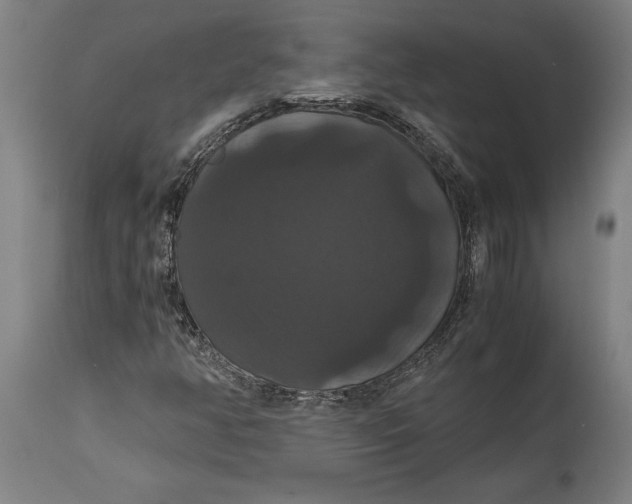 X0000114641350200911101249