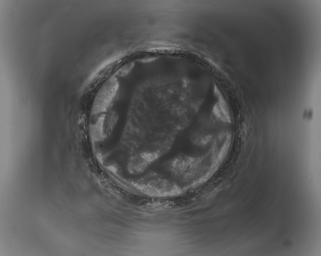 X0000114641351200911101249