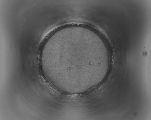 X0000114641352200911101249