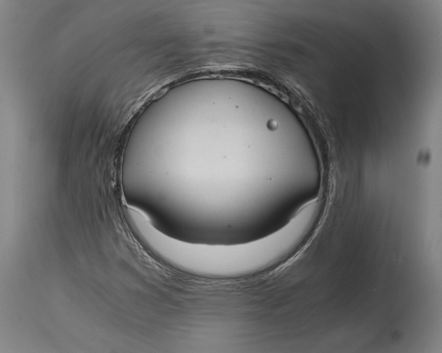X0000114641353200911101249