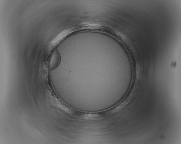 X0000114641354200911101249