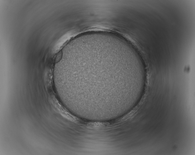 X0000114641355200911101249
