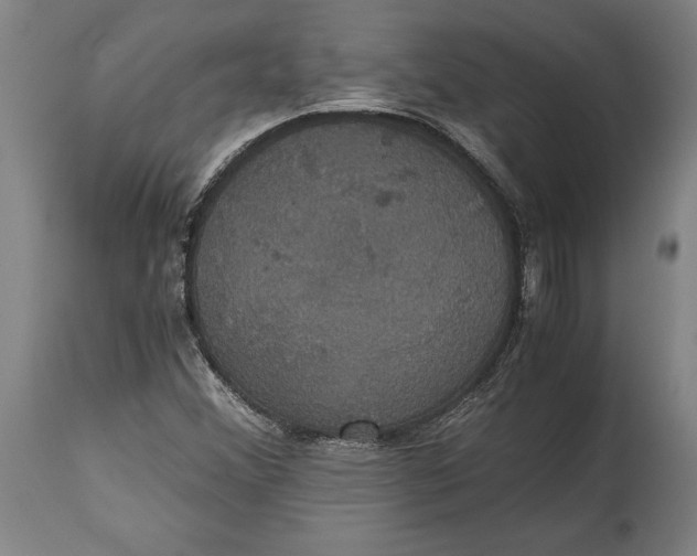 X0000114641356200911101249