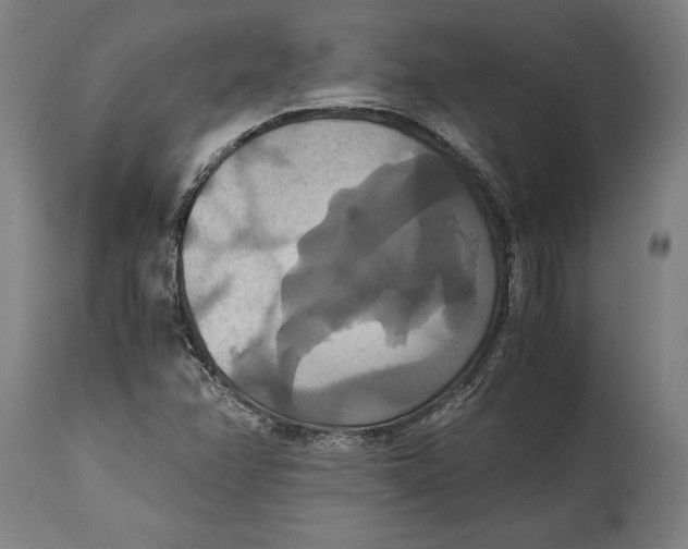 X0000114641358200911101249