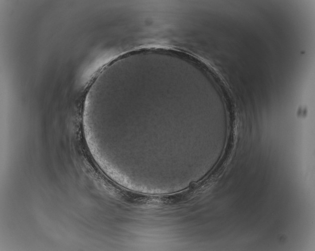 X0000114641359200911101249