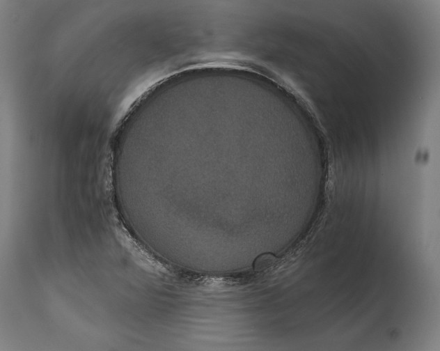 X0000114641360200911101249