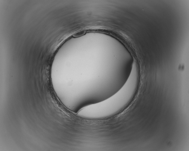 X0000114641361200911101249