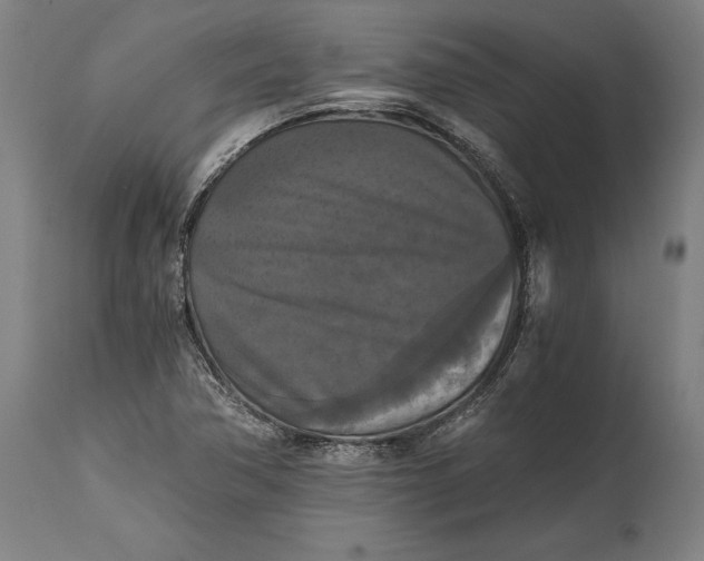 X0000114641362200911101249