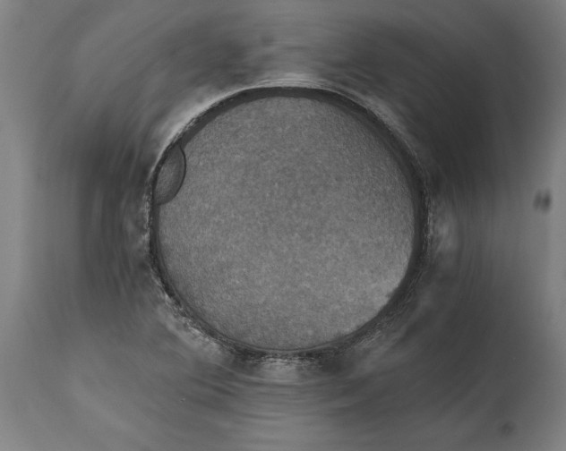 X0000114641364200911101249