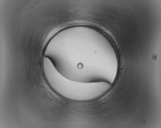 X0000114641365200911101249