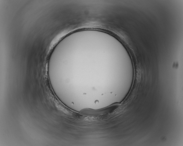 X0000114641366200911101249