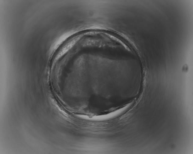 X0000114641367200911101249