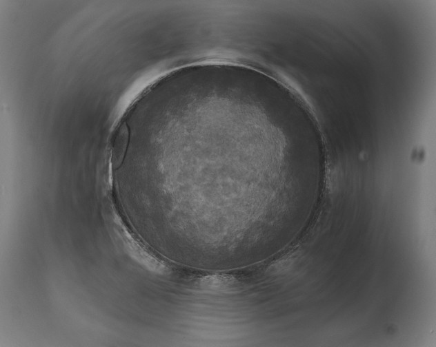 X0000114641368200911101249