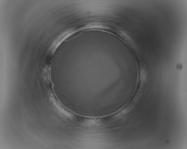 X0000114641369200911101249