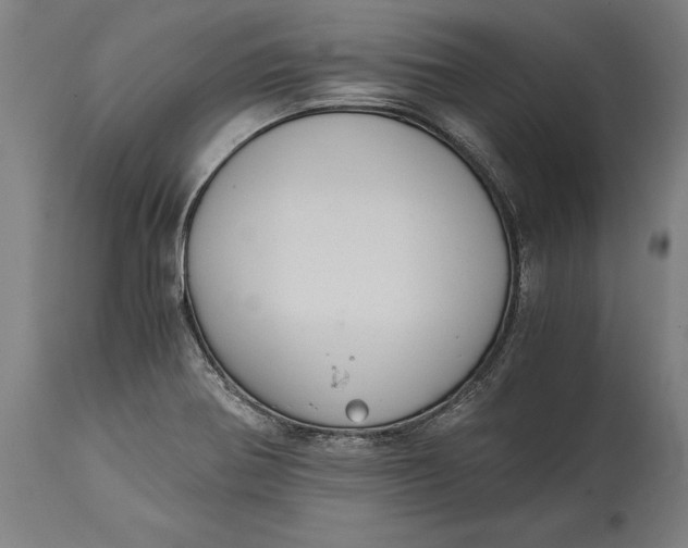 X0000114641370200911101249