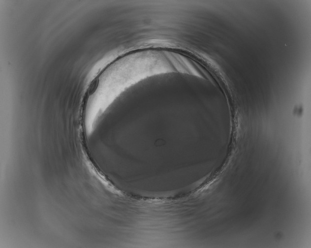 X0000114641373200911101249