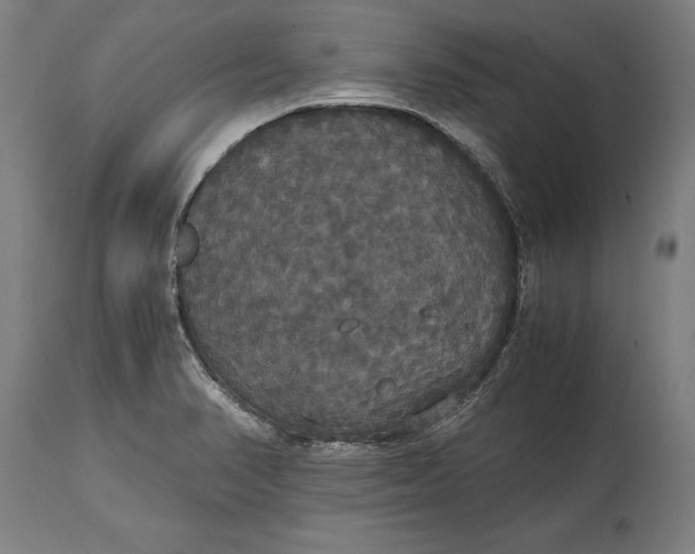 X0000114641374200911101249