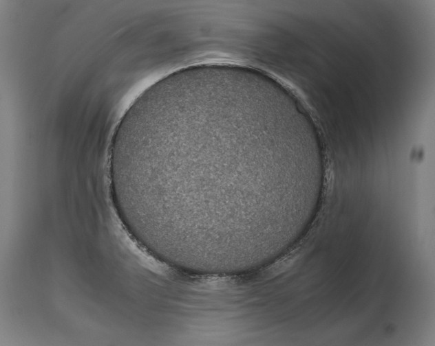 X0000114641375200911101249