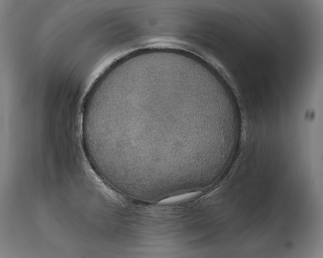 X0000114641376200911101249