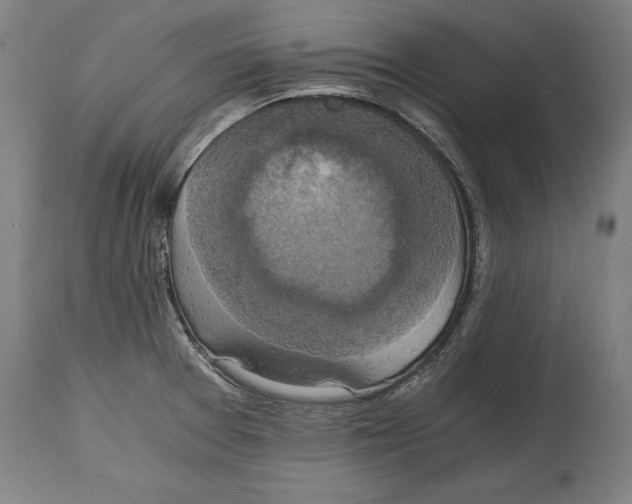 X0000114641377200911101249