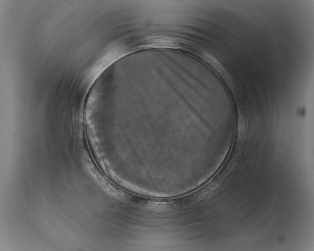 X0000114641378200911101249