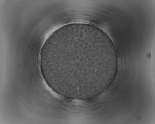 X0000114641379200911101249