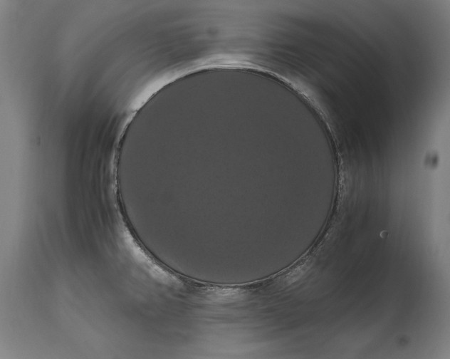 X0000114641382200911101249