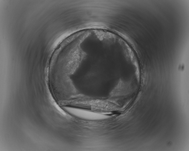 X0000114641383200911101249