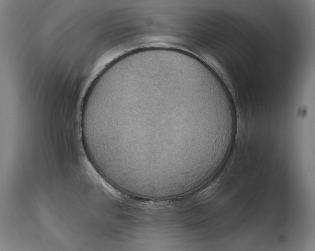 X0000114641384200911101249