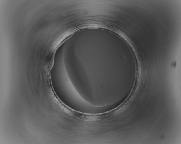 X0000114641385200911101249