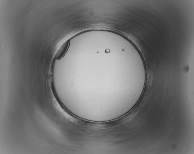 X0000114641387200911101249