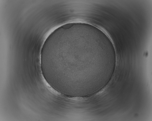 X0000114641388200911101249