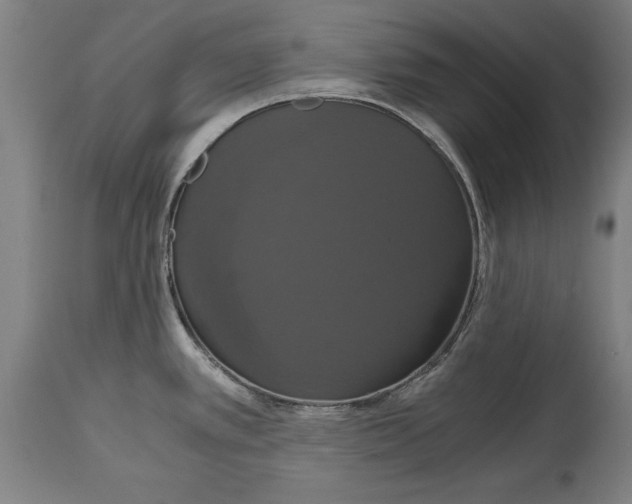 X0000114641389200911101249