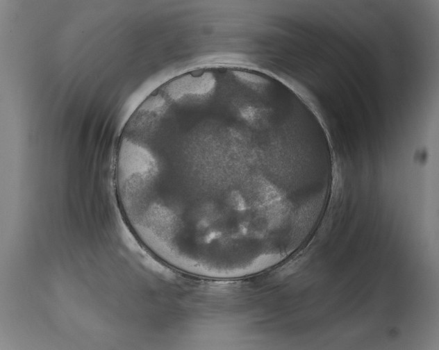 X0000114641390200911101249