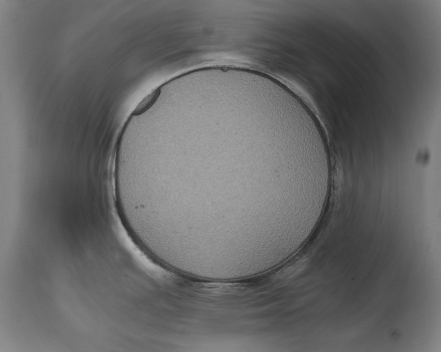 X0000114641391200911101249