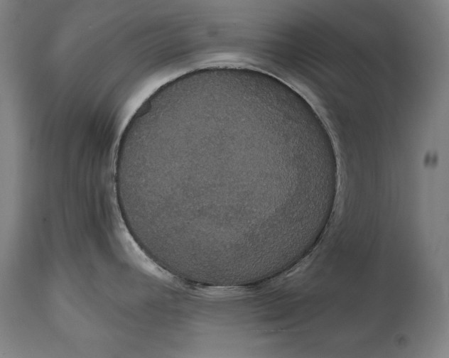 X0000114641392200911101249