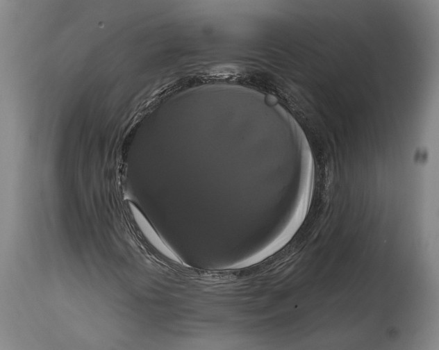 X0000114641394200911101248