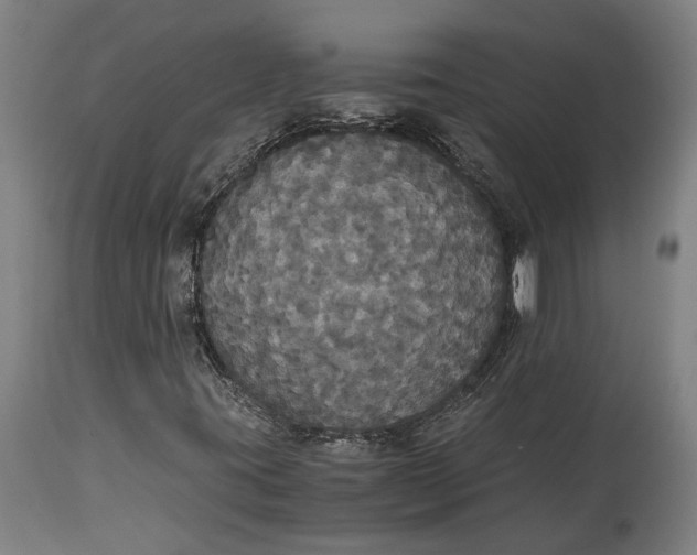 X0000114641395200911101248