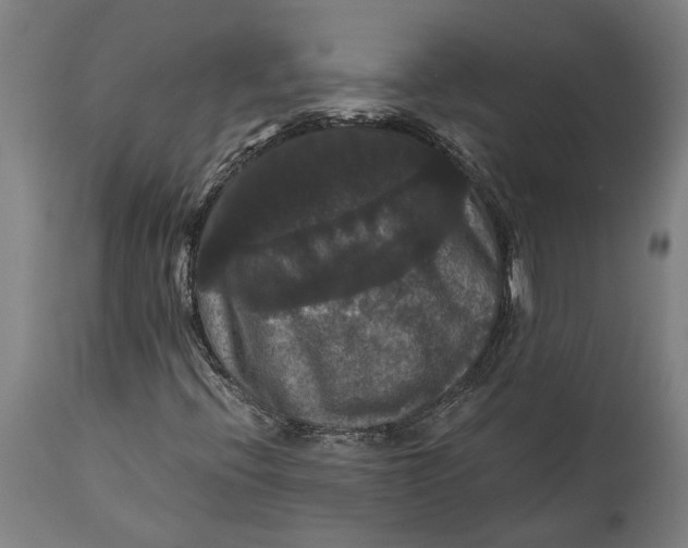 X0000114641396200911101248
