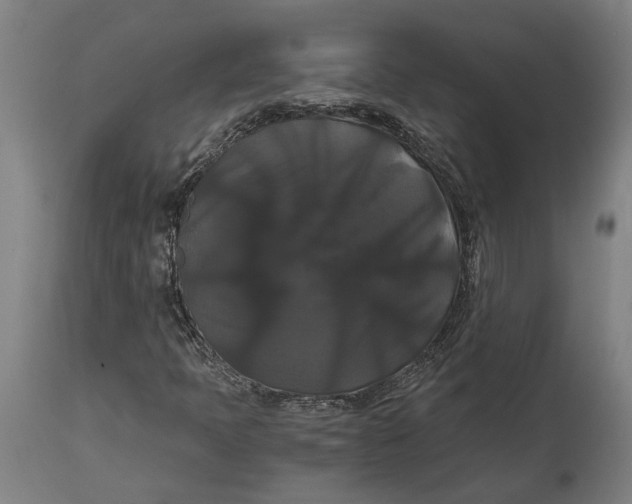 X0000114641397200911101248
