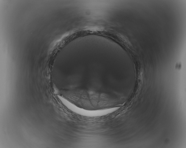 X0000114641398200911101248